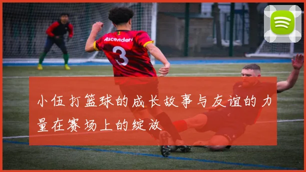 小伍打篮球的成长故事与友谊的力量在赛场上的绽放