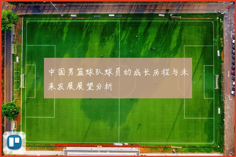 中国男篮球队球员的成长历程与未来发展展望分析