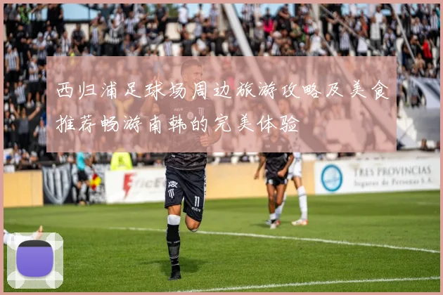 西归浦足球场周边旅游攻略及美食推荐畅游南韩的完美体验