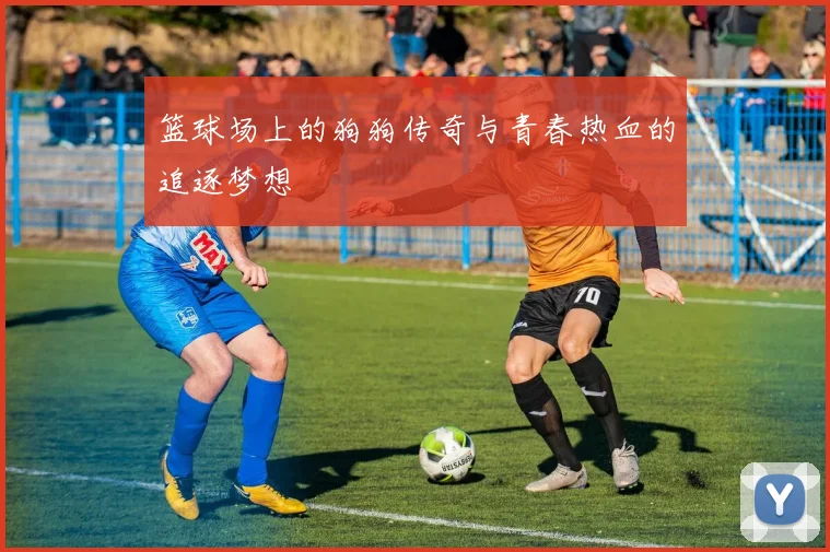 篮球场上的狗狗传奇与青春热血的追逐梦想