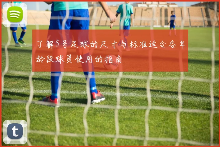 了解5号足球的尺寸与标准适合各年龄段球员使用的指南