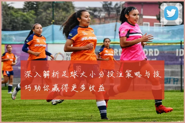 深入解析足球大小分投注策略与技巧助你赢得更多收益